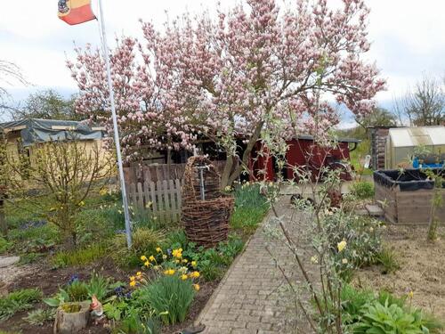 Foto - Einen doppelten Kleingarten 800m2 in Klütz