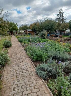 Foto - Grundstück in Boltenhagen
