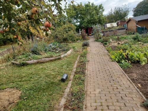 Foto - Grundstück in Boltenhagen zur Miete