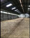 Foto - Betriebshof, Halle, Stall 1175qm