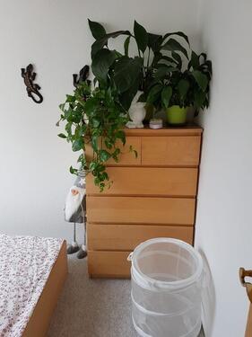 Foto - 2 Zimmer Etagenwohnung in Kröslin