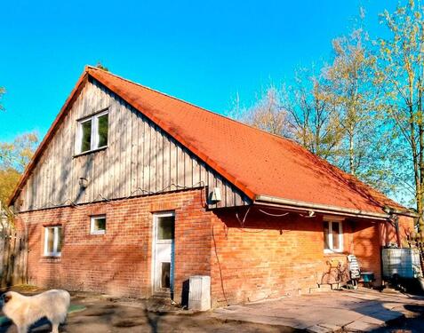 Foto - 4 Zimmer Einfamilienhaus zum Kaufen in Wiesmoor