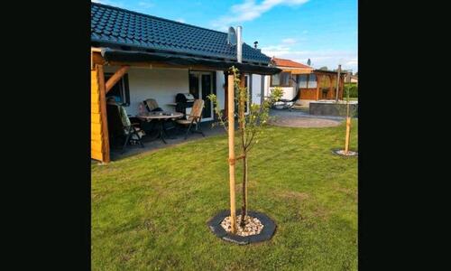 Foto - 3 Zimmer Einfamilienhaus in Wolfsburg