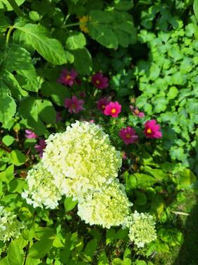 Foto - Zweifamilienhaus Nordstadt Singen