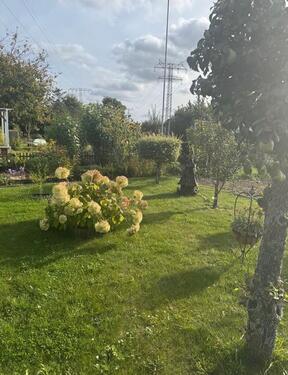 Foto - Grundst&uuml;ck in Rostock zur Miete
