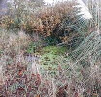 Garten in Vinnhorst 400qm - 2.000,00&nbsp;EUR Kaltmiete, ca.&nbsp; 0,00&nbsp;m&sup2; in Schwarmstedt (PLZ: 29690)