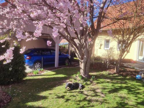 Foto - PROVISIONSFREI: gepflegtes Einfamilienhaus in bester Lage