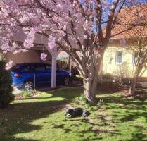 PROVISIONSFREI: gepflegtes Einfamilienhaus in bester Lage - Weidenberg