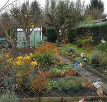 Garten, Kleingarten 250 qm Pachtfläche in Lübbenau - Lübbenau (Spreewald)