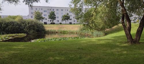 Foto - Schöne helle 2-Zimmer Wohnung mit sonnigem Balkon