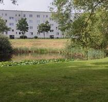 Schöne helle 2-Zimmer Wohnung mit sonnigem Balkon - Hagenow