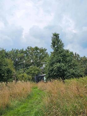 Foto - vermiete wunderschönes Naturgrundstück für Tinyhaus, Tipi usw.