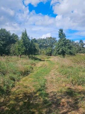 Foto - Grundst&uuml;ck in Leipzig zur Miete