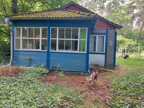 Foto - Waldidylle: Grundstück 1000qm mit altem Häuschen in Fichtenwalde