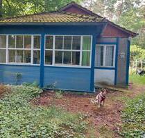 Waldidylle: Grundstück 1000qm mit altem Häuschen in Fichtenwalde - Beelitz