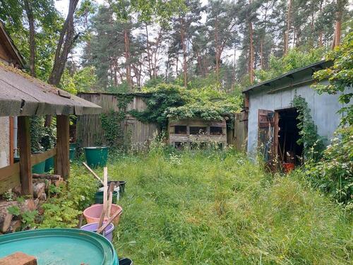 Foto - 3 Zimmer Einfamilienhaus in Beelitz