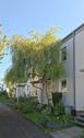 Foto - Reihenmittelhaus in Obersulm Willsbach