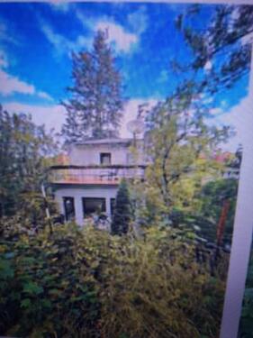 Foto - Einfamilienhaus - 2.000,00 EUR Kaltmiete,