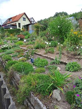 Foto - Grundstück in Flöha zur Miete