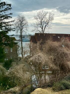 Foto - 4 Zimmer Einfamilienhaus zum Kaufen in Neustadt in Holstein