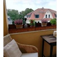 Schöne helle 4-Raum Wohnung in Zwickau-Pölbitz.