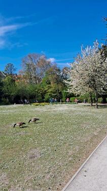 Foto - Vollmobliert Zimmer Unterbilk - Flexibal Zeitraum