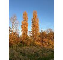 Geräumige und helle 3-Zimmer-Wohnung - Hannover Bothfeld-Vahrenheide