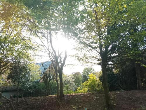 Foto - 2 Zimmer Terrassenwohnung in Vechta