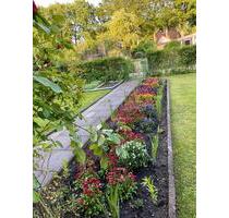 schrebegarten, Kleingarten, (400m²) MIT HÄUSCHEN, abzugeben - Neumünster