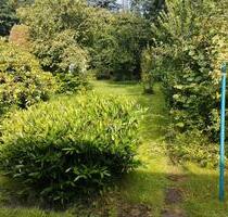 Helle Einliegerwohnung für Naturliebhaber in Alleinlage - Schenefeld