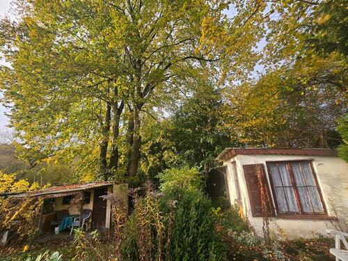 Foto - Kleingarten Freizeitgrundstück Eigentumsgarten