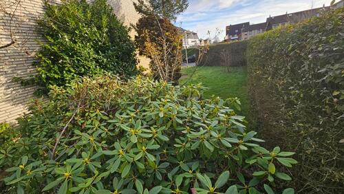 Foto - Einfamilienhaus (REH) mit Garten + Garage