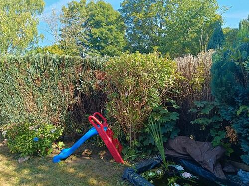 Foto - andere zur Miete in Essen