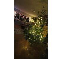 Wohnung zur Untermiete 01.04 -31.08. - Mindelheim