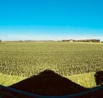 4-Zimmer Wohnung in Bad Wimpfen - Obrigheim