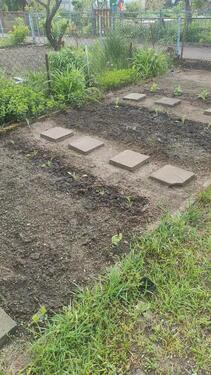 Foto - Grundst&uuml;ck zur Miete in Wanzleben-Börde