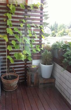Foto - Etagenwohnung zum Kaufen in Oberhausen