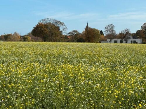 Foto - Einfamilienhaus zum Kaufen in Lüchow (Wendland)