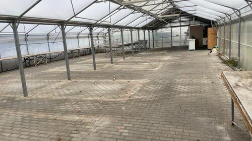 Foto - andere in Leipzig zur Miete