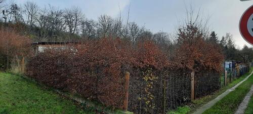 Foto - Weimar Gartengrundstück mit Laube