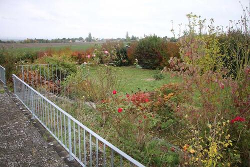 Foto - Einfamilienhaus in Schöningen