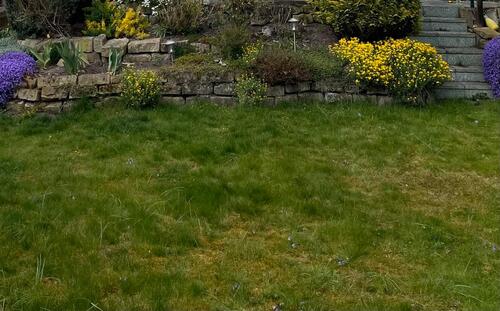 Foto - Endreihenhaus mit Garten - 330.000,00&nbsp;EUR Kaufpreis, ca.&nbsp; 112,00&nbsp;m&sup2;