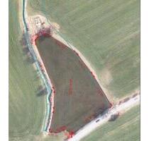 Verpachtung einer Grünfläche - 150,00 EUR Kaltmiete, ca.  0,00 m² in Preetz (PLZ: 24211)