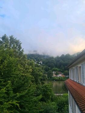 Foto - 2 Zimmer Etagenwohnung zur Miete in Heidelberg