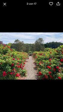 Foto - 3 Zimmer Etagenwohnung in Weilburg