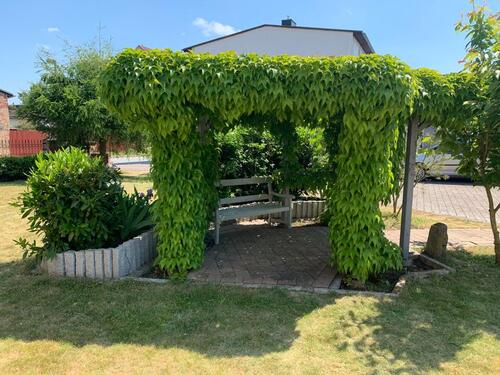 Foto - Etagenwohnung in Lubmin zur Miete