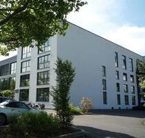 Loft-Wohnung 150,18 m² in attraktiver Lage ab 01.01.2026 in Aschaffenburg zu vermieten (36928)