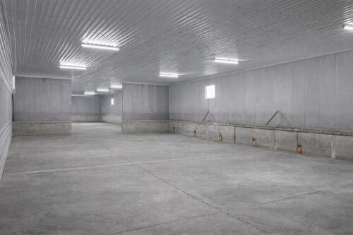 Foto - andere in Börnsen