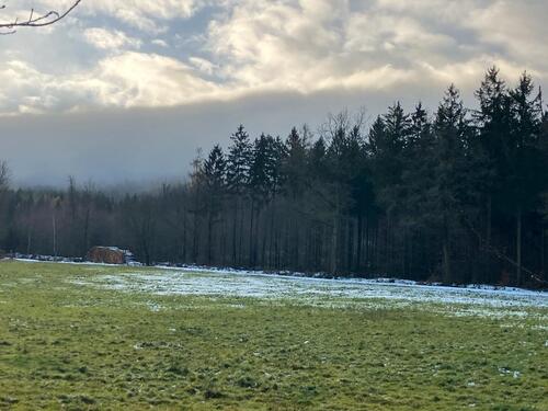 Foto - 4 Zimmer Dachgeschoßwohnung in Neukirch/Lausitz