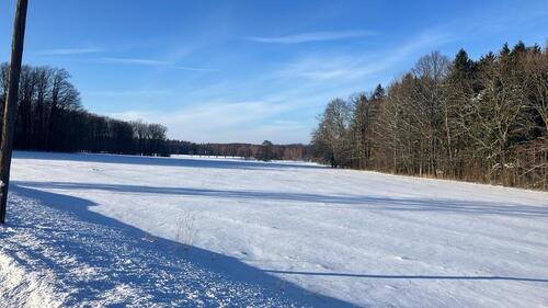 Foto - Dachgeschoßwohnung in Neukirch/Lausitz zur Miete